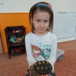 phoca_thumb_m_elva 34 Fotogalerie